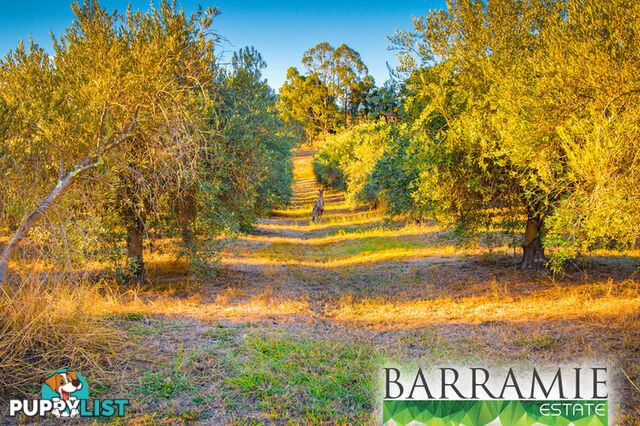 Barramie Park Estate 30 Goldsworthy Street Springdale Heights NSW 2641