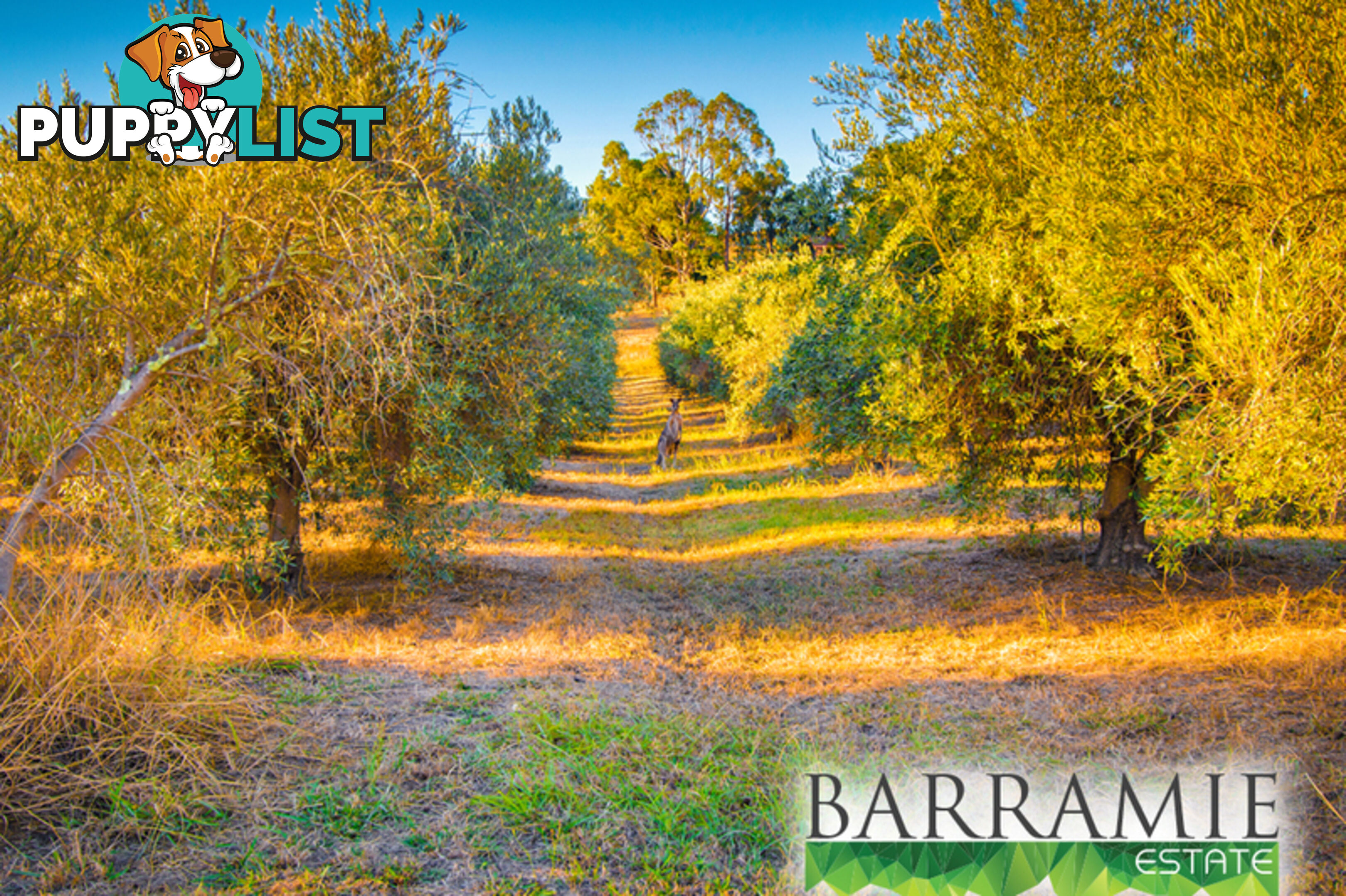 Barramie Park Estate 38 Goldsworthy Street Springdale Heights NSW 2641