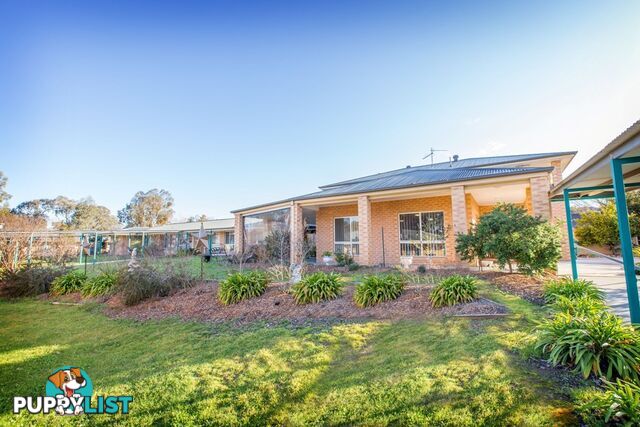 Thurgoona Rise Village 41/7 Severin Ct Court Thurgoona NSW 2640