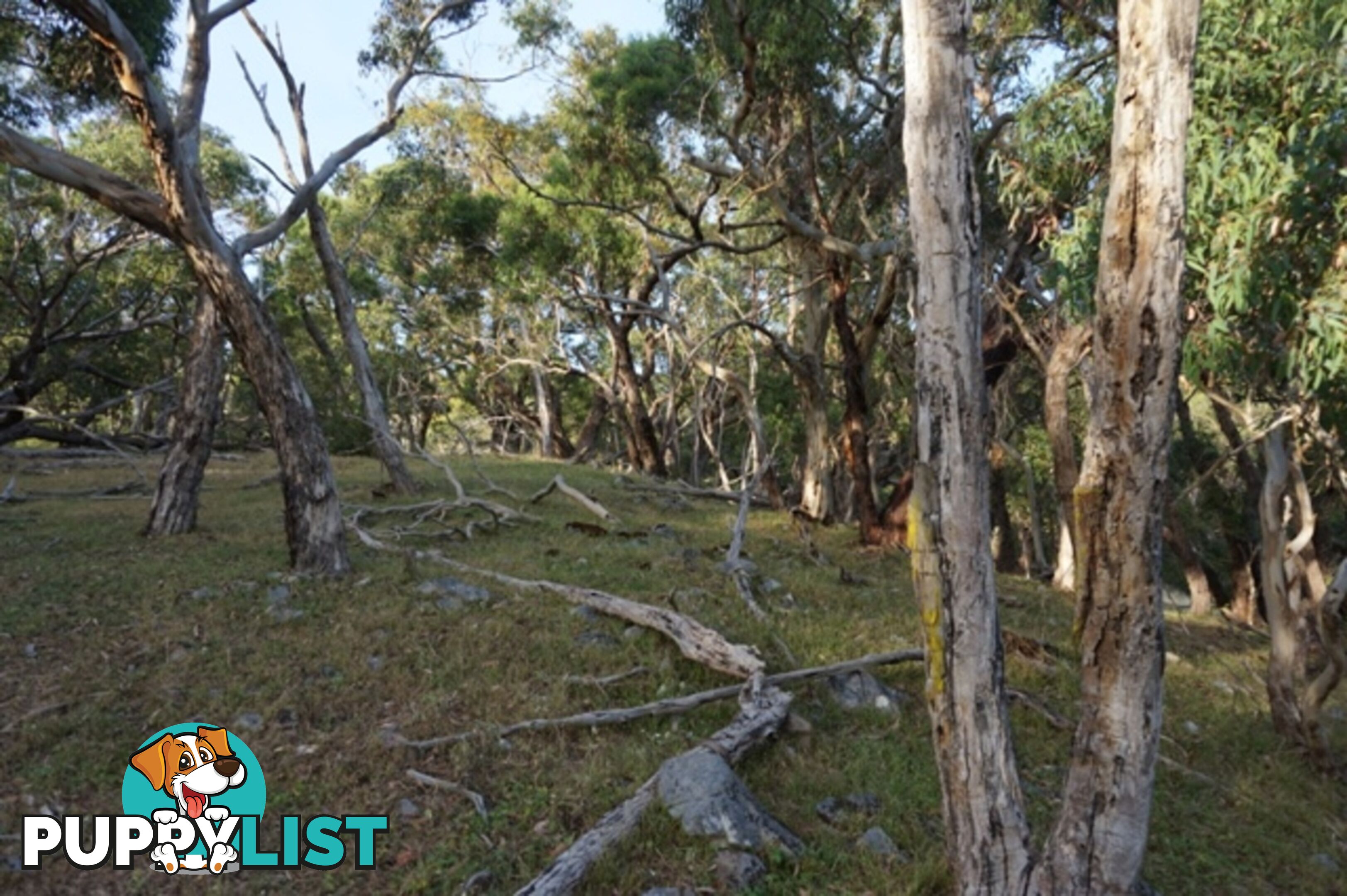 Lot 102 Range Road West Willunga SA 5172