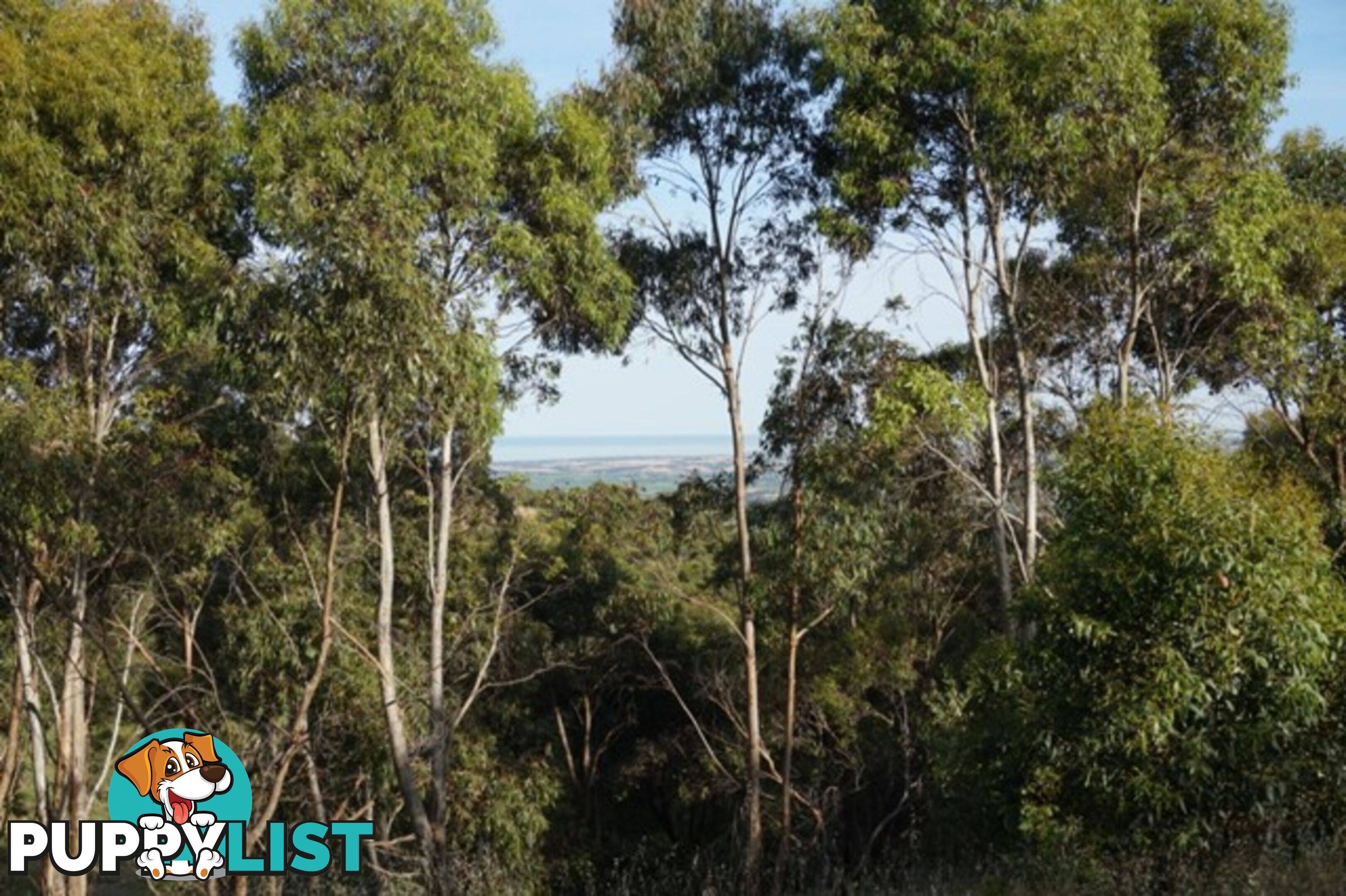 Lot 102 Range Road West Willunga SA 5172