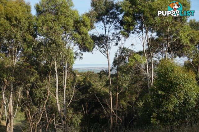 Lot 102 Range Road West Willunga SA 5172