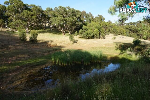 Lot 102 Range Road West Willunga SA 5172