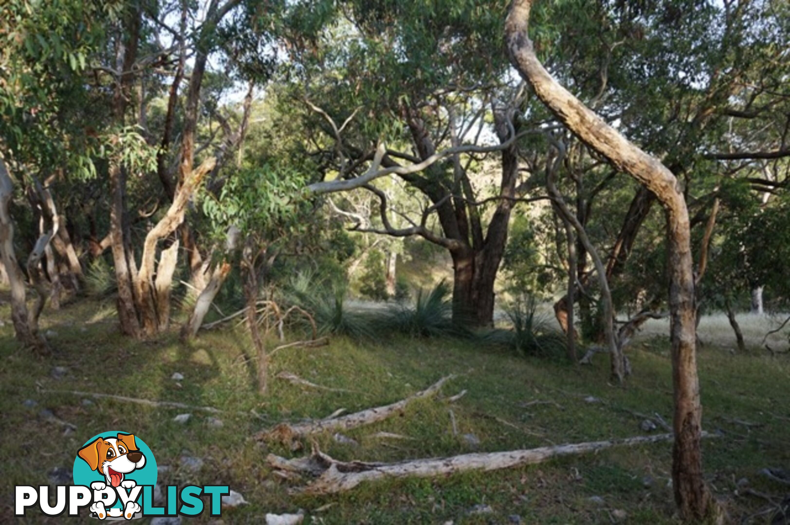 Lot 102 Range Road West Willunga SA 5172