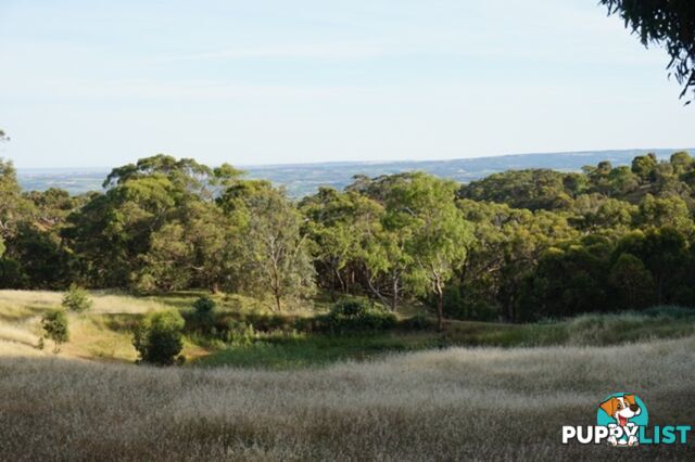 Lot 102 Range Road West Willunga SA 5172