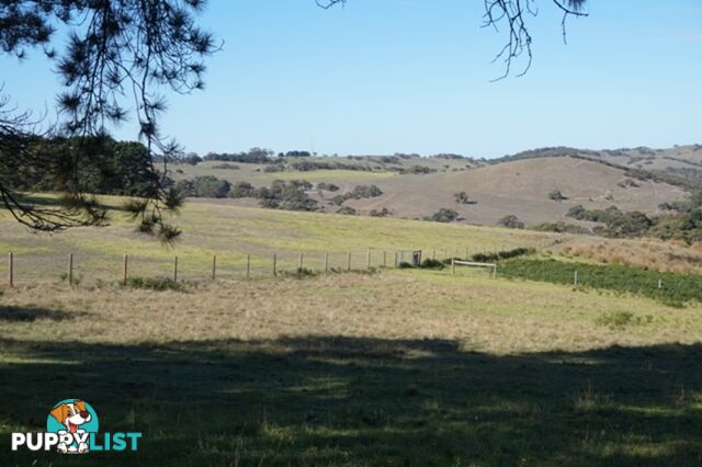 Lot 52 Pambula Road Hindmarsh Tiers SA 5202