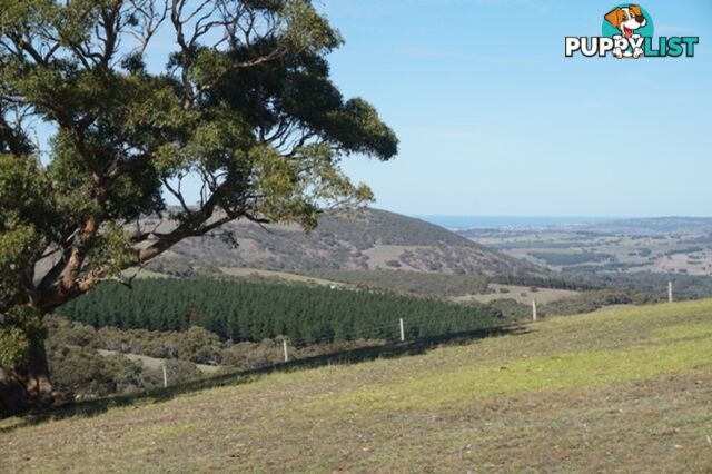 Lot 52 Pambula Road Hindmarsh Tiers SA 5202