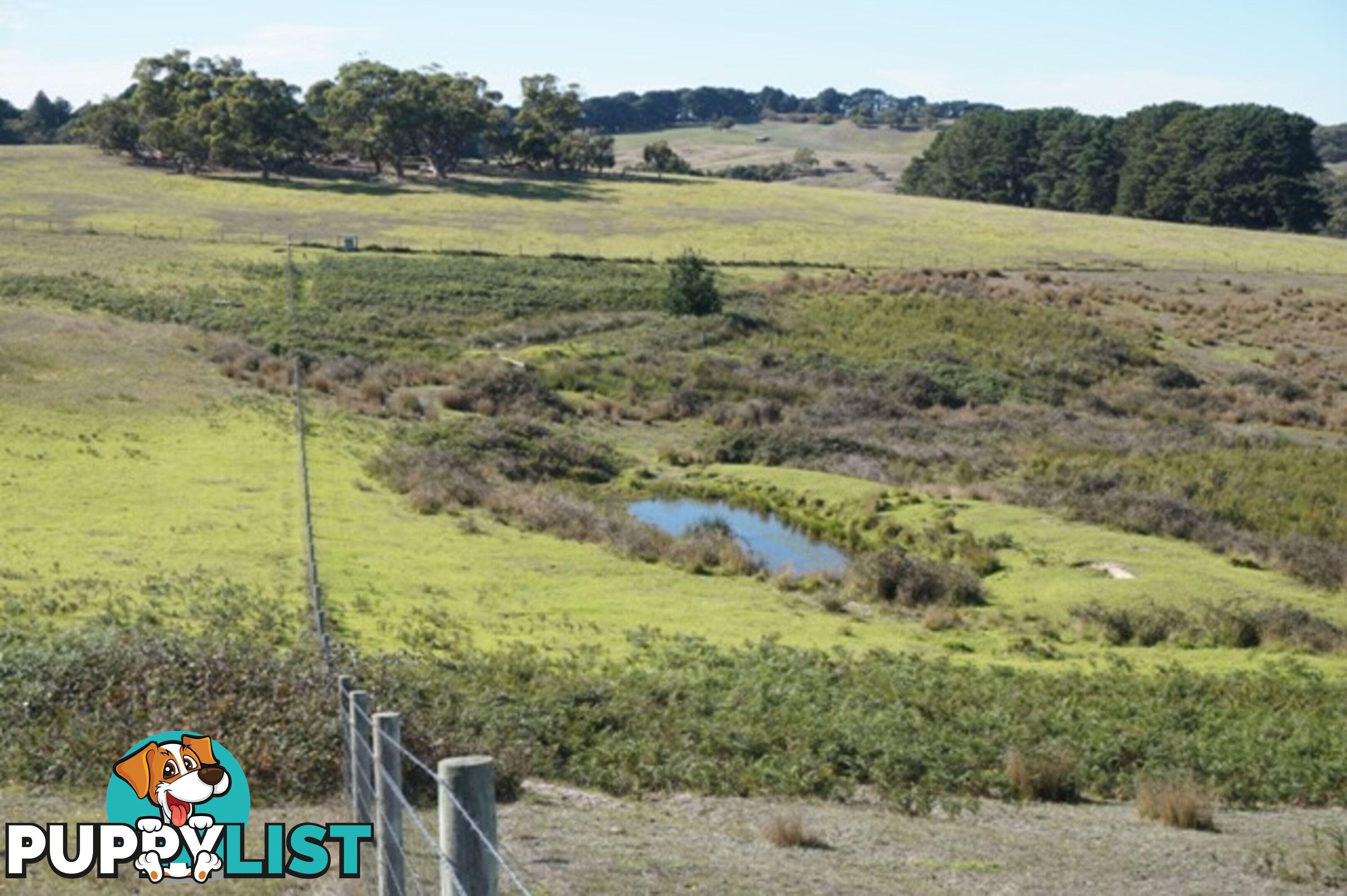 Lot 52 Pambula Road Hindmarsh Tiers SA 5202