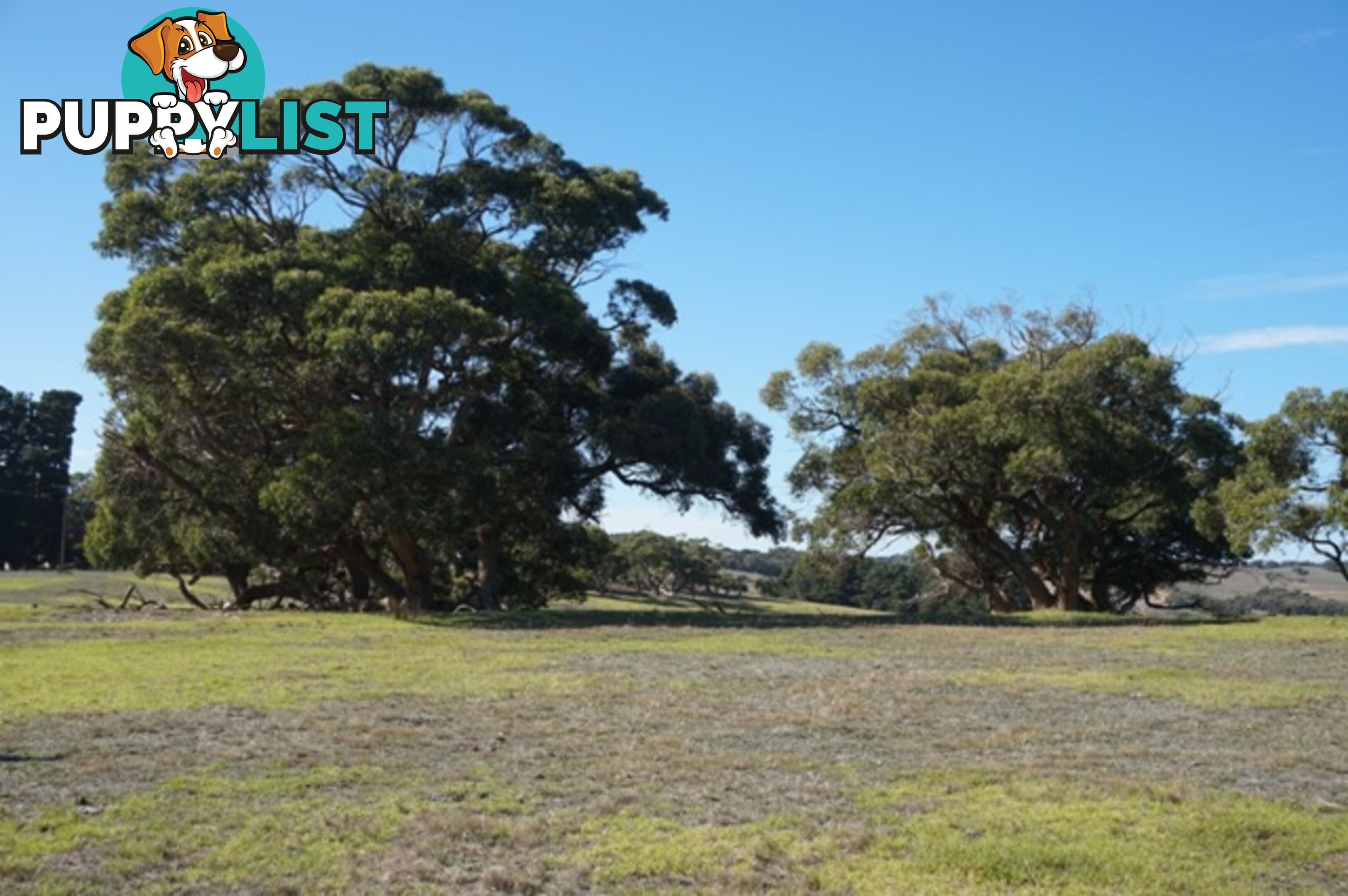 Lot 52 Pambula Road Hindmarsh Tiers SA 5202