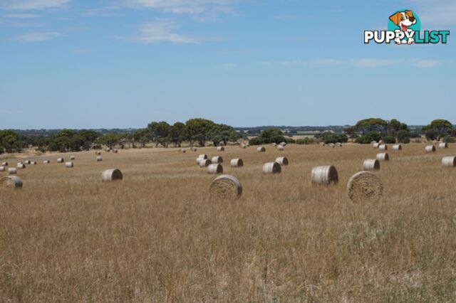 1507 Goolwa Road Currency Creek SA 5214