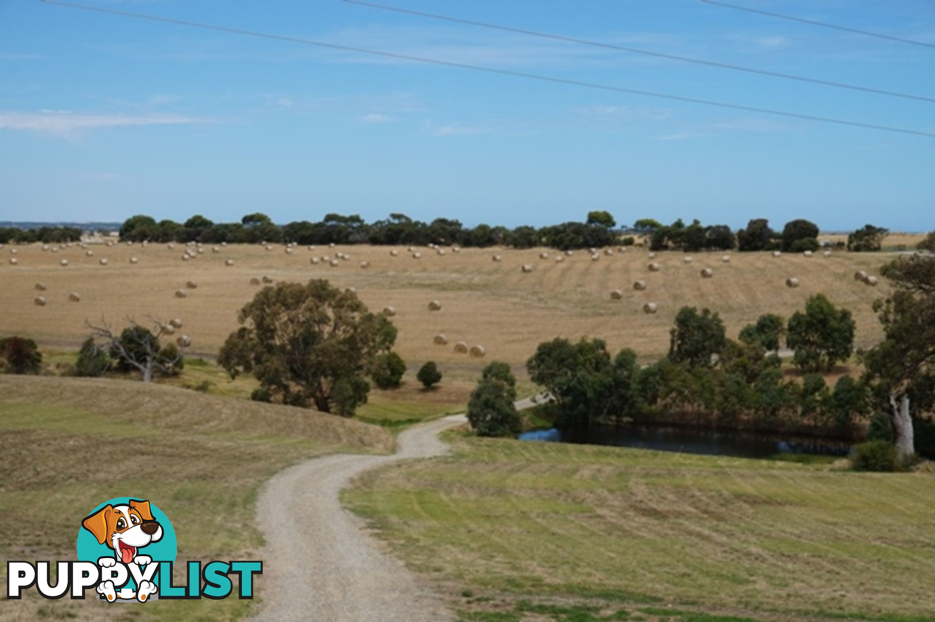 1507 Goolwa Road Currency Creek SA 5214