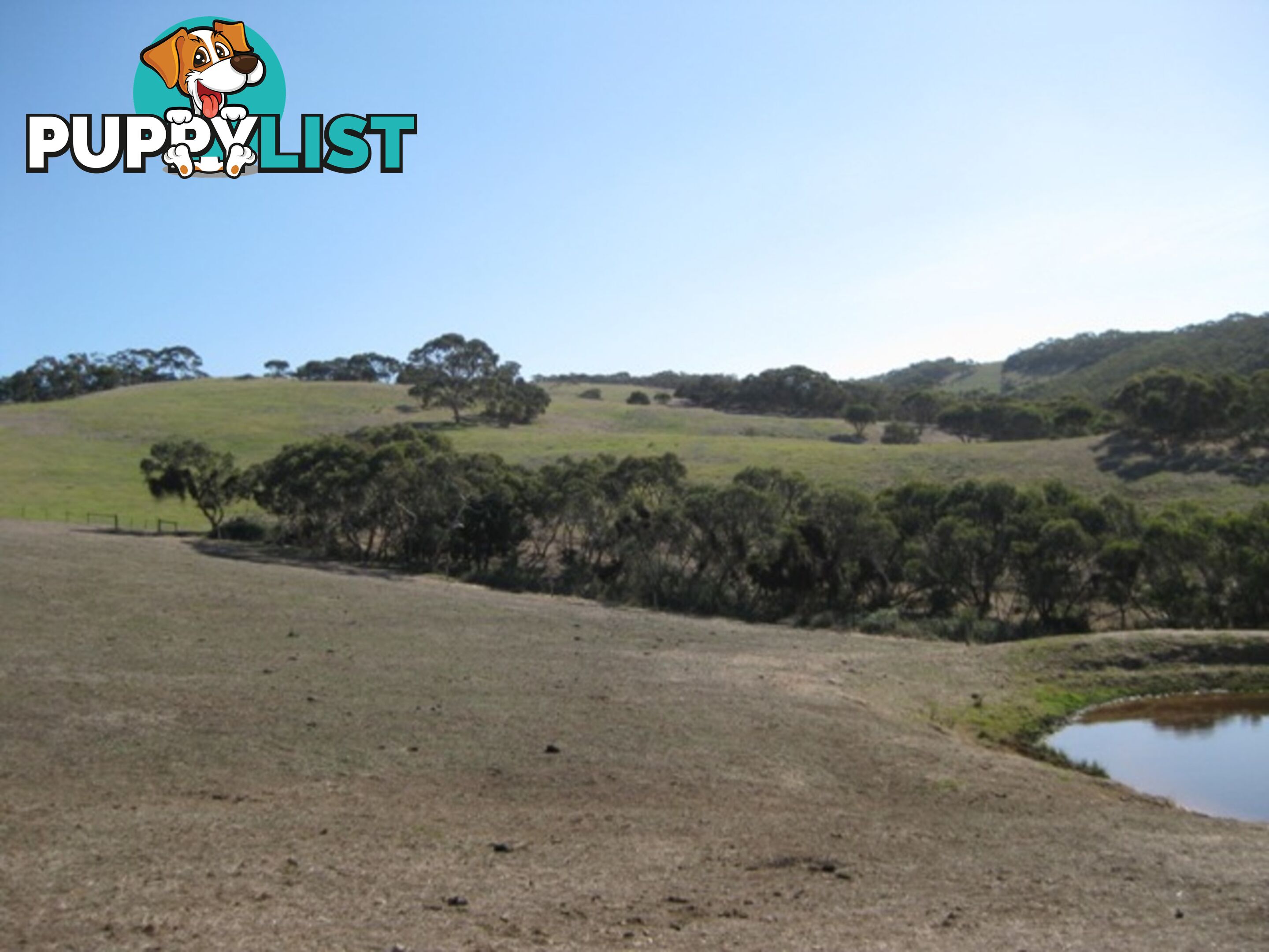 Lot 4 Cleland Gully Road Tooperang SA 5255