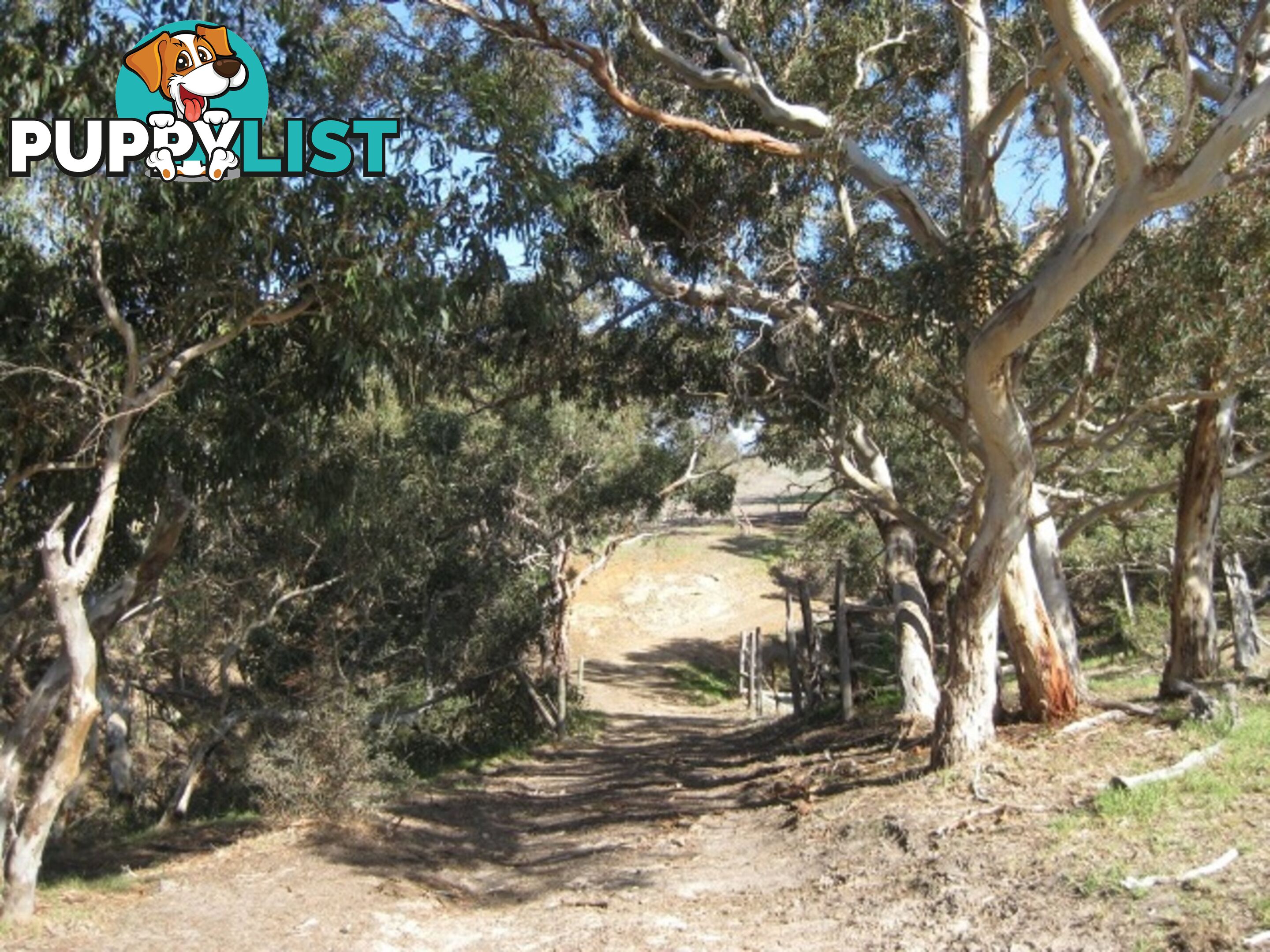 Lot 4 Cleland Gully Road Tooperang SA 5255