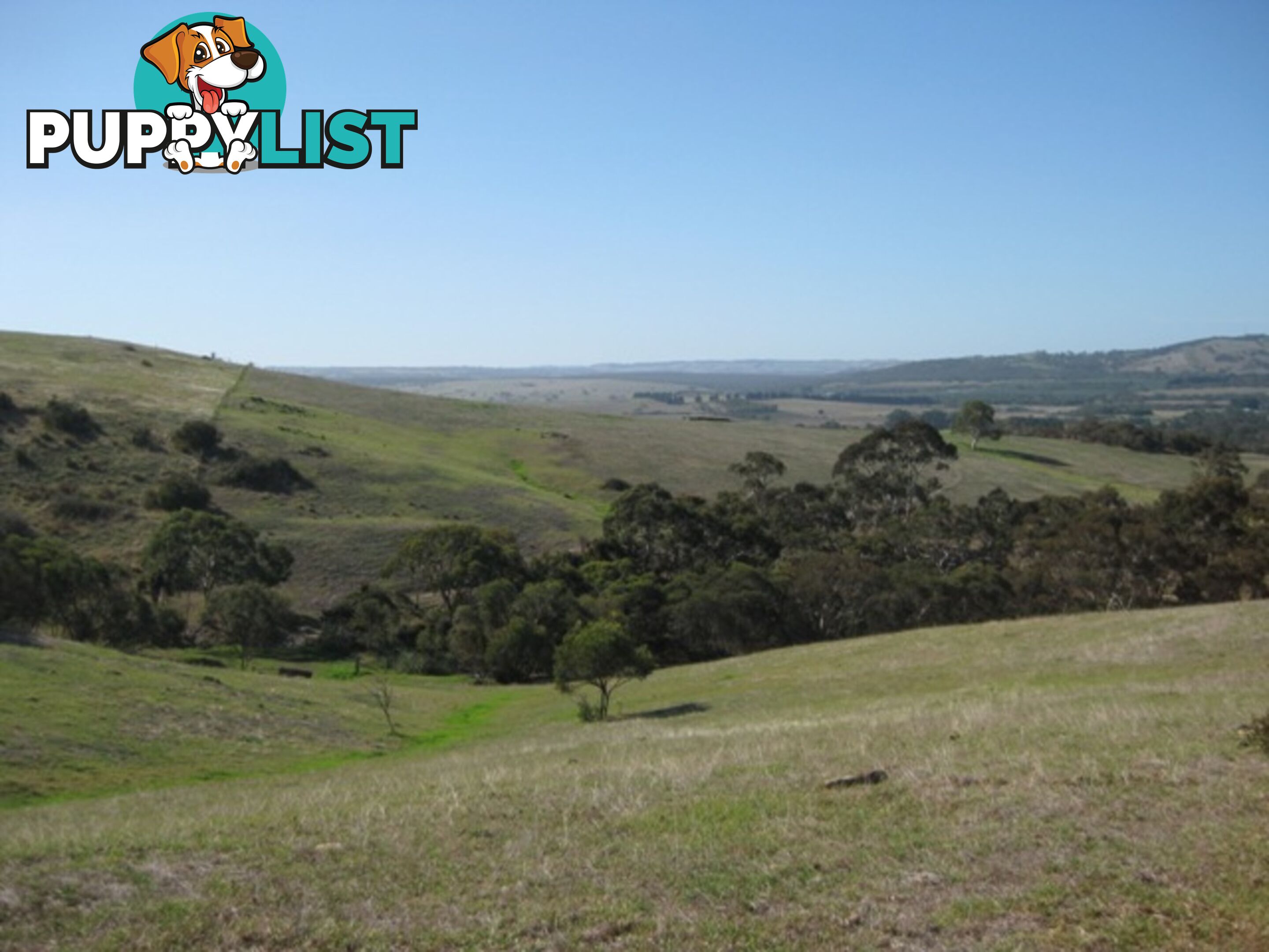 Lot 4 Cleland Gully Road Tooperang SA 5255