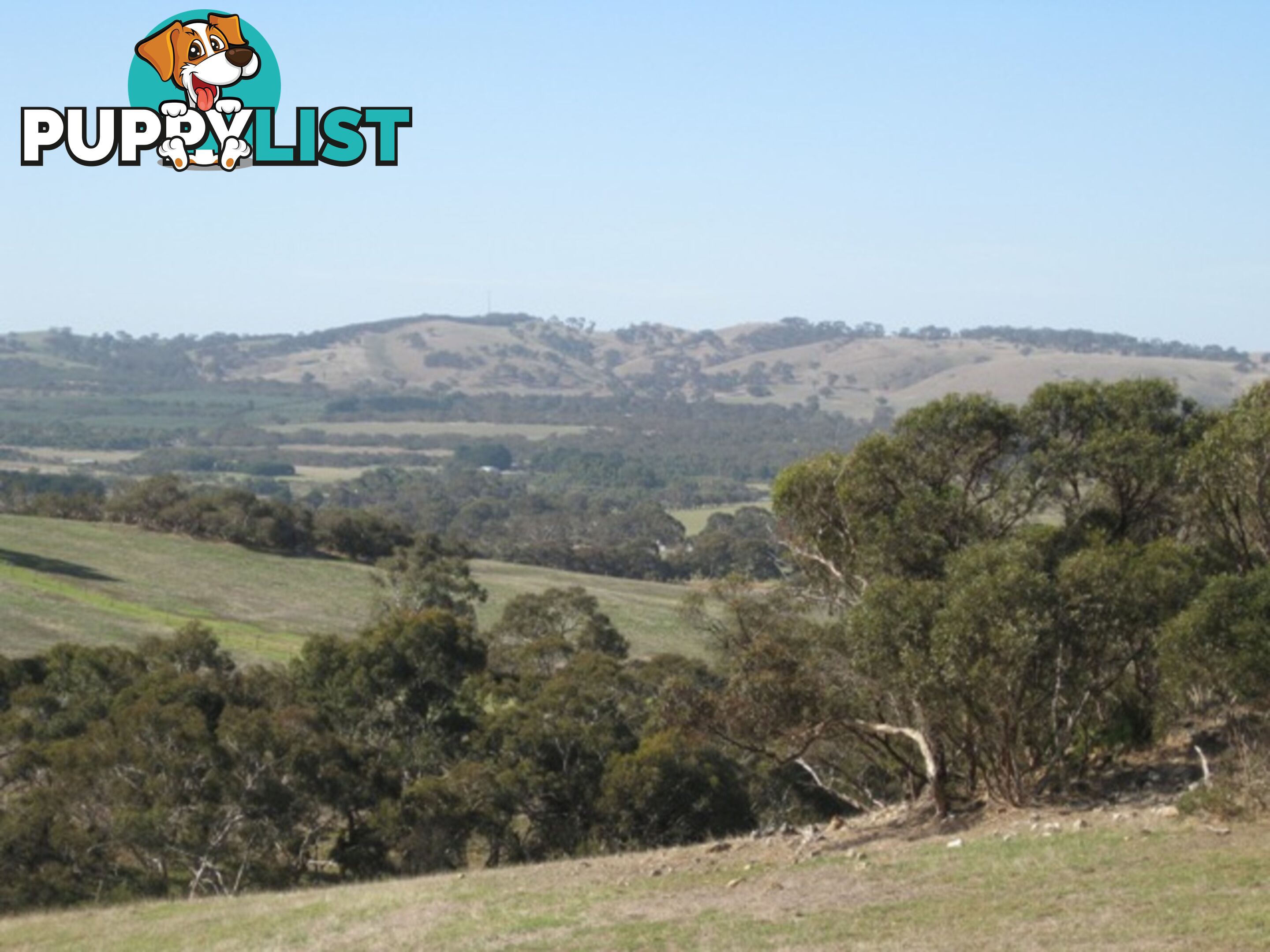 Lot 4 Cleland Gully Road Tooperang SA 5255