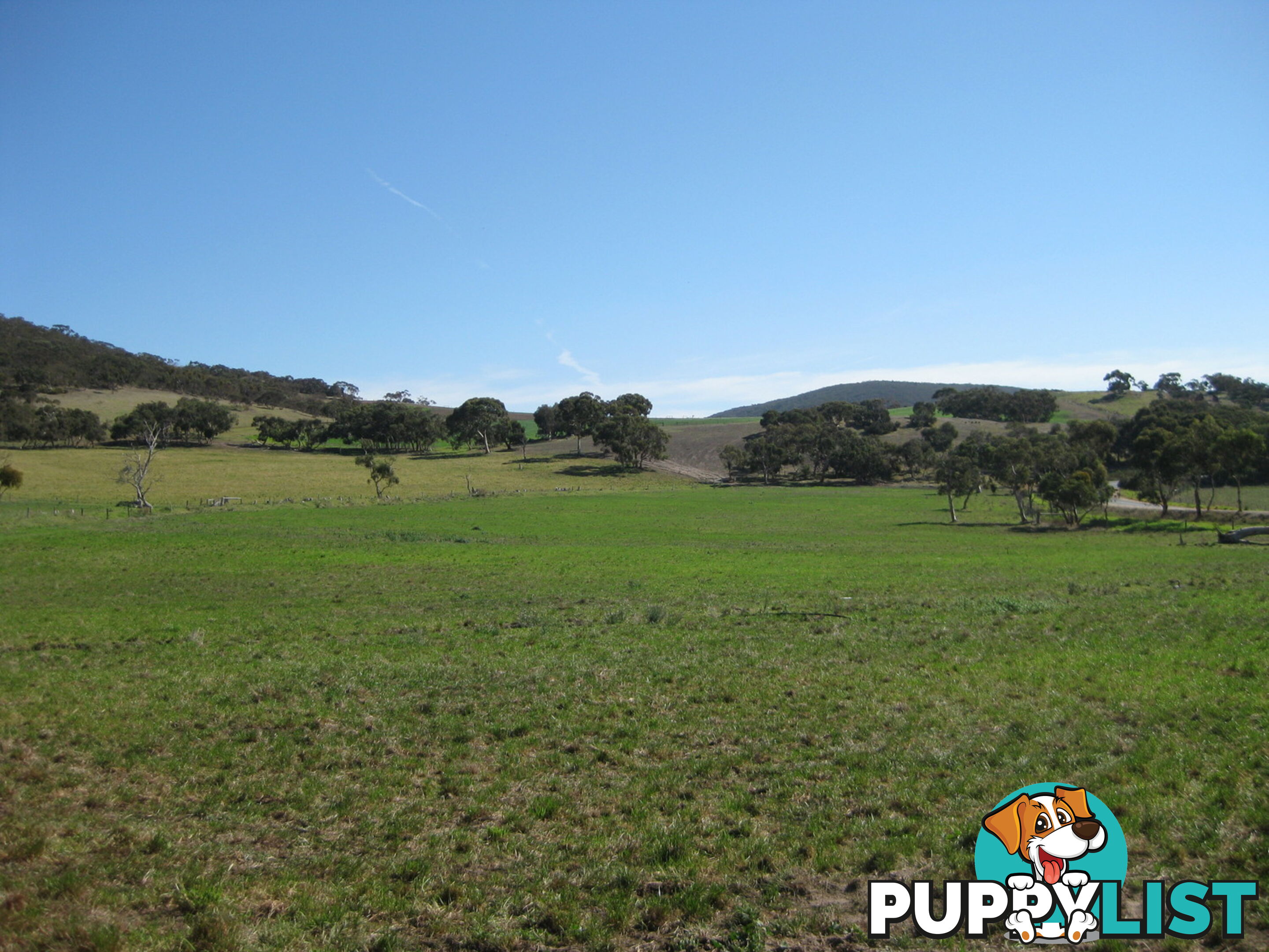 Lot 8 Cleland Gully Road Mount Compass SA 5210