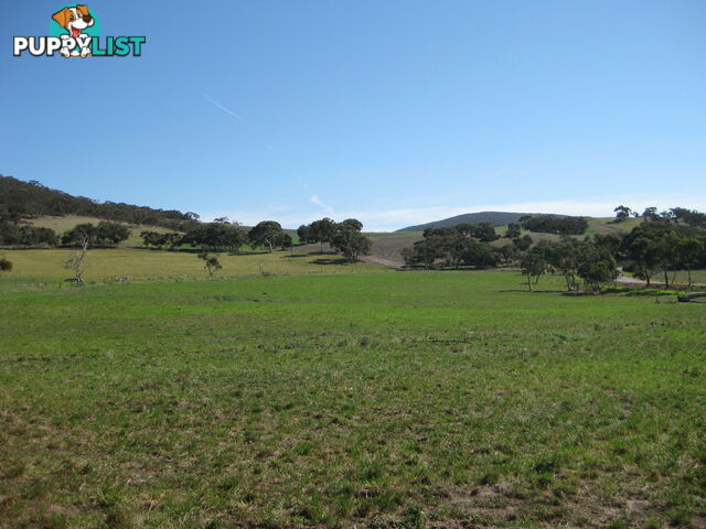 Lot 8 Cleland Gully Road Mount Compass SA 5210