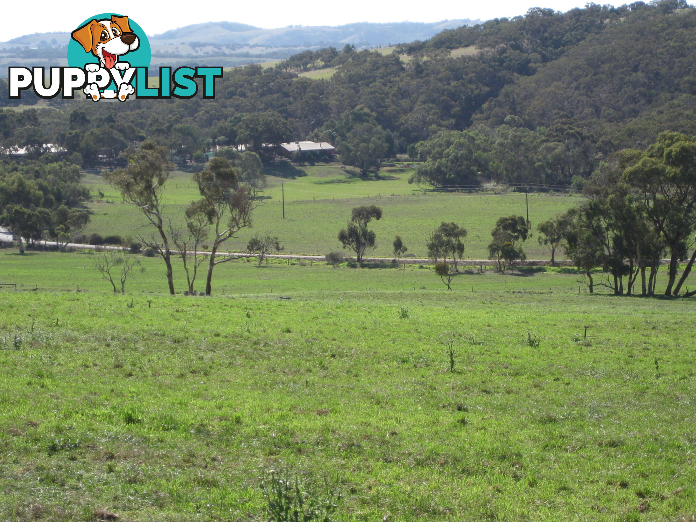 Lot 8 Cleland Gully Road Mount Compass SA 5210