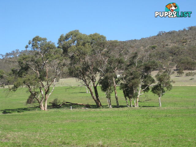 Lot 8 Cleland Gully Road Mount Compass SA 5210