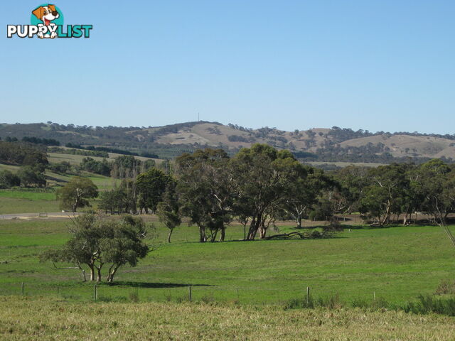 Lot 8 Cleland Gully Road Mount Compass SA 5210