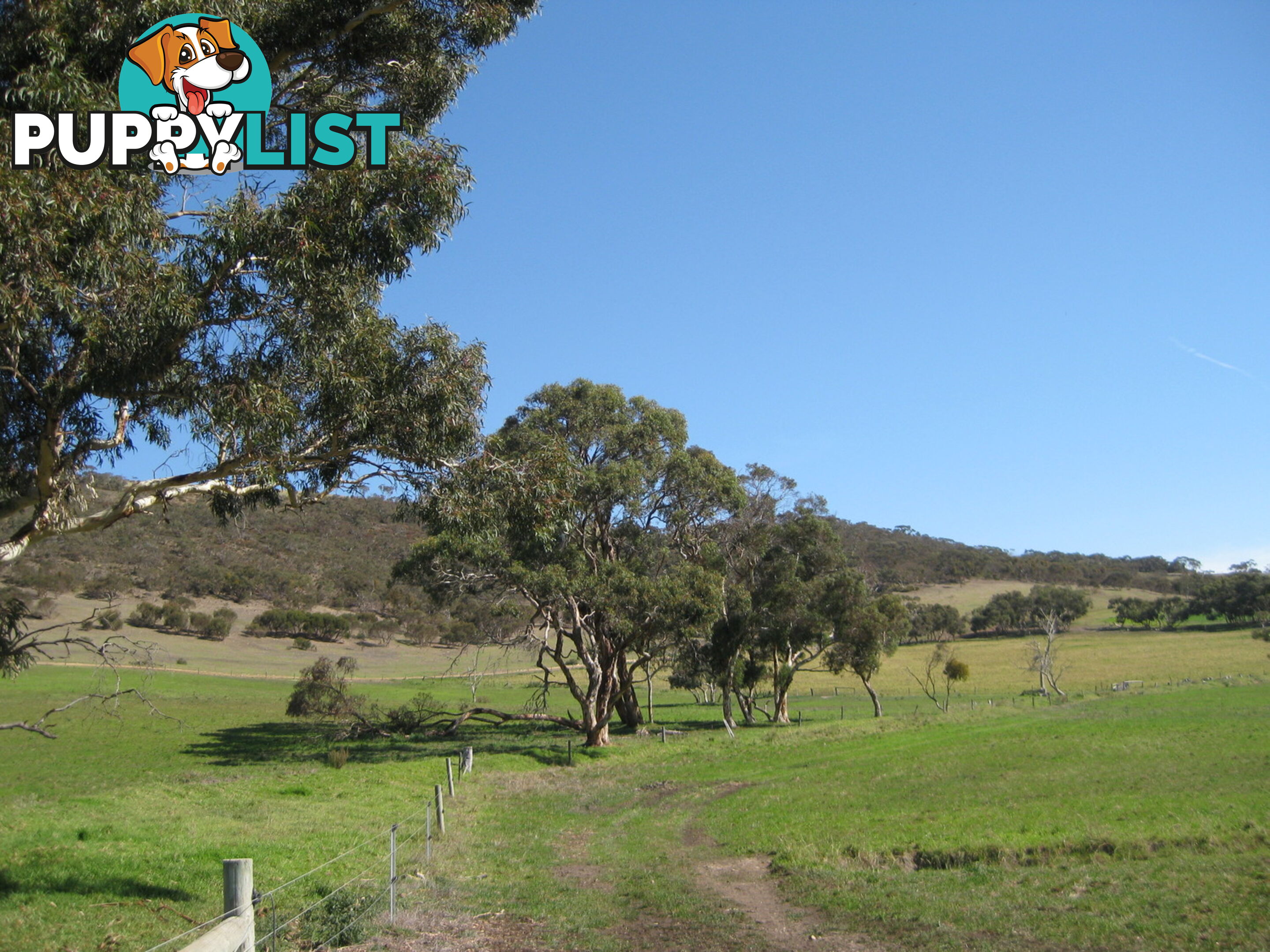 Lot 8 Cleland Gully Road Mount Compass SA 5210