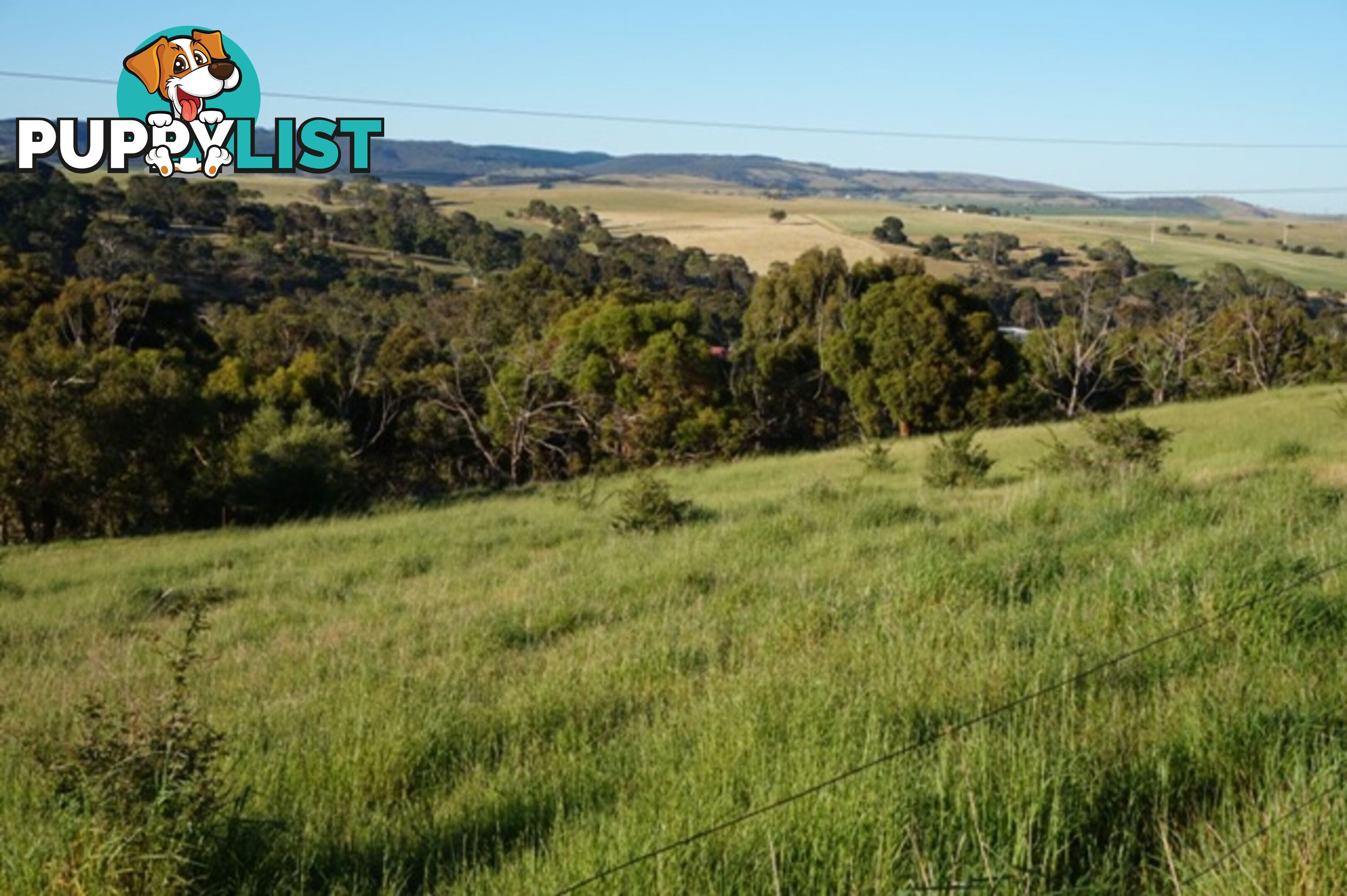 Lot 6 Jervois Road Yankalilla SA 5203