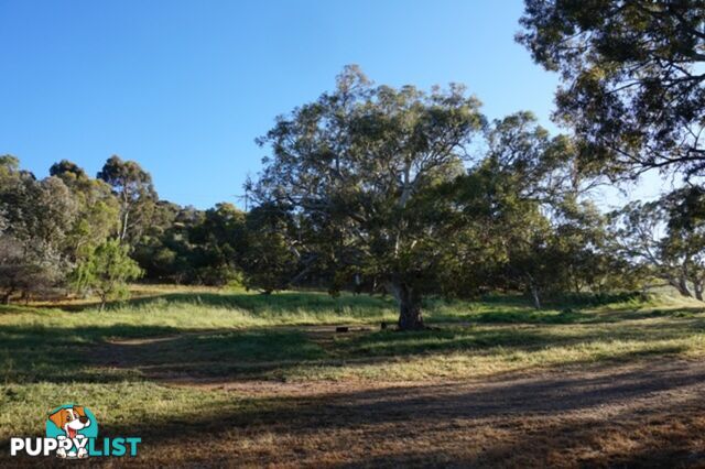 Lot 6 Jervois Road Yankalilla SA 5203