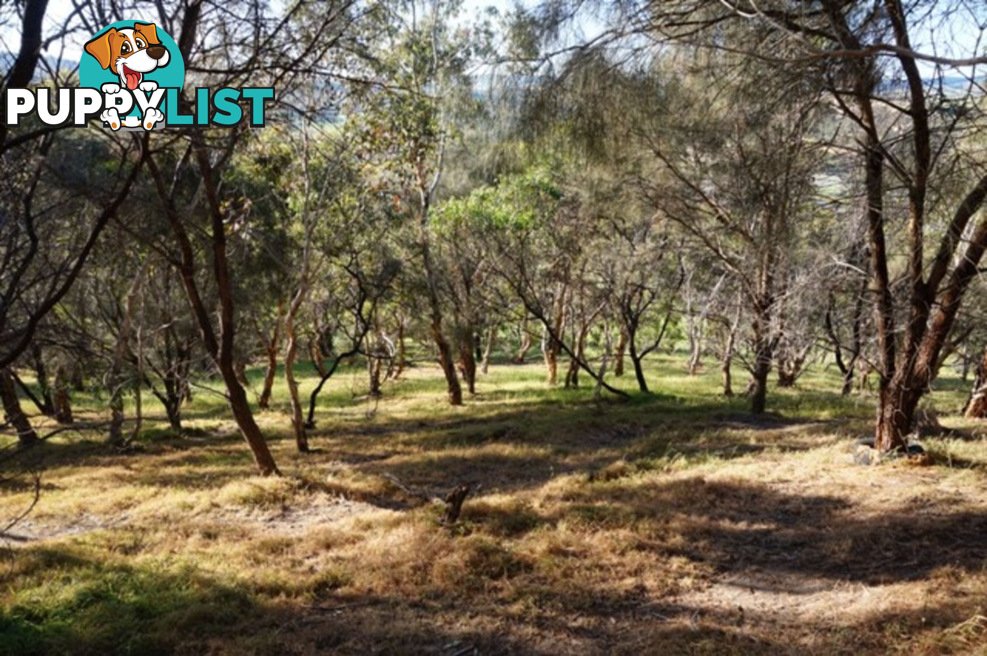 Lot 6 Jervois Road Yankalilla SA 5203