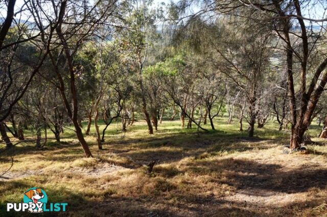 Lot 6 Jervois Road Yankalilla SA 5203