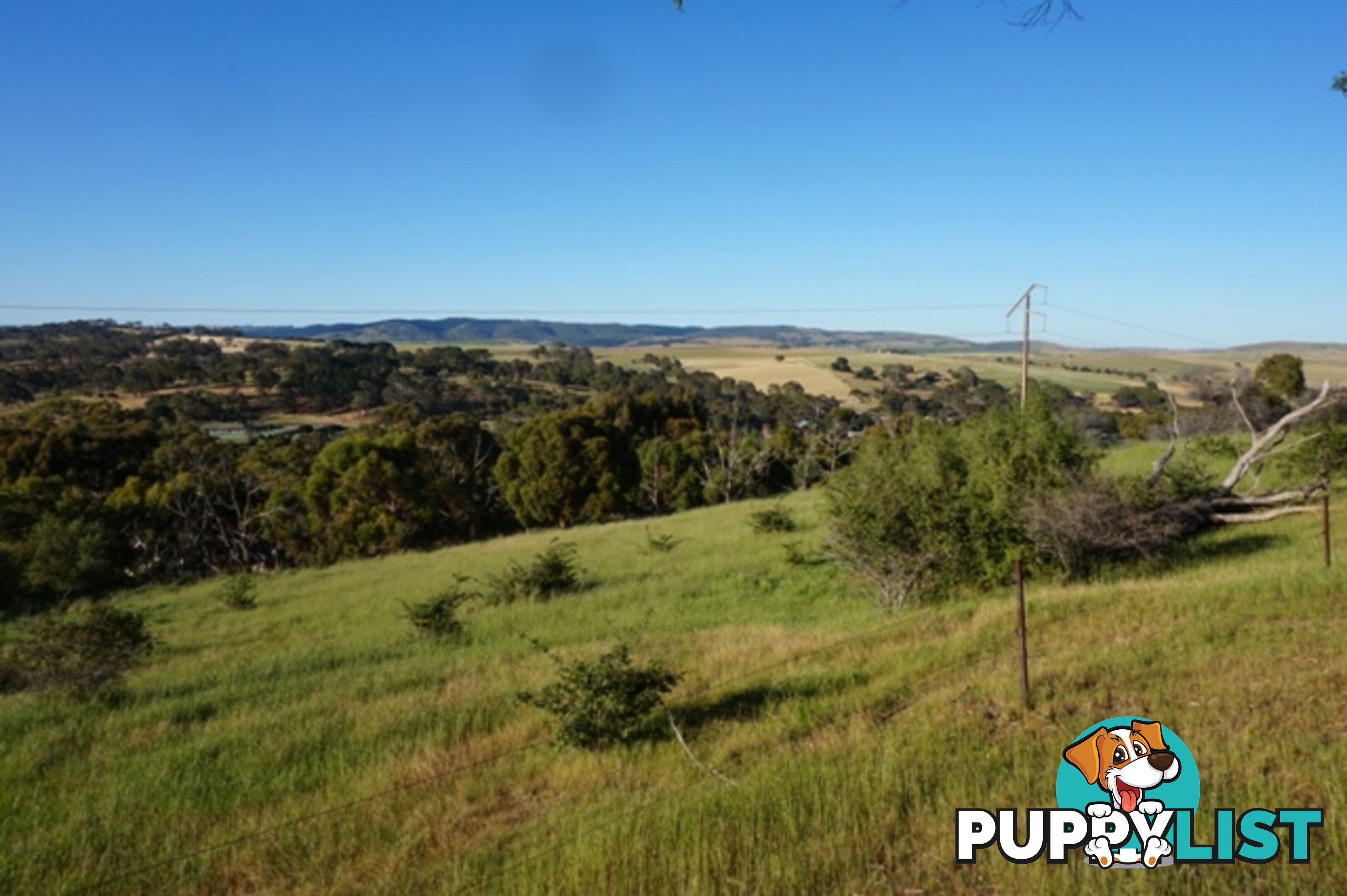 Lot 6 Jervois Road Yankalilla SA 5203