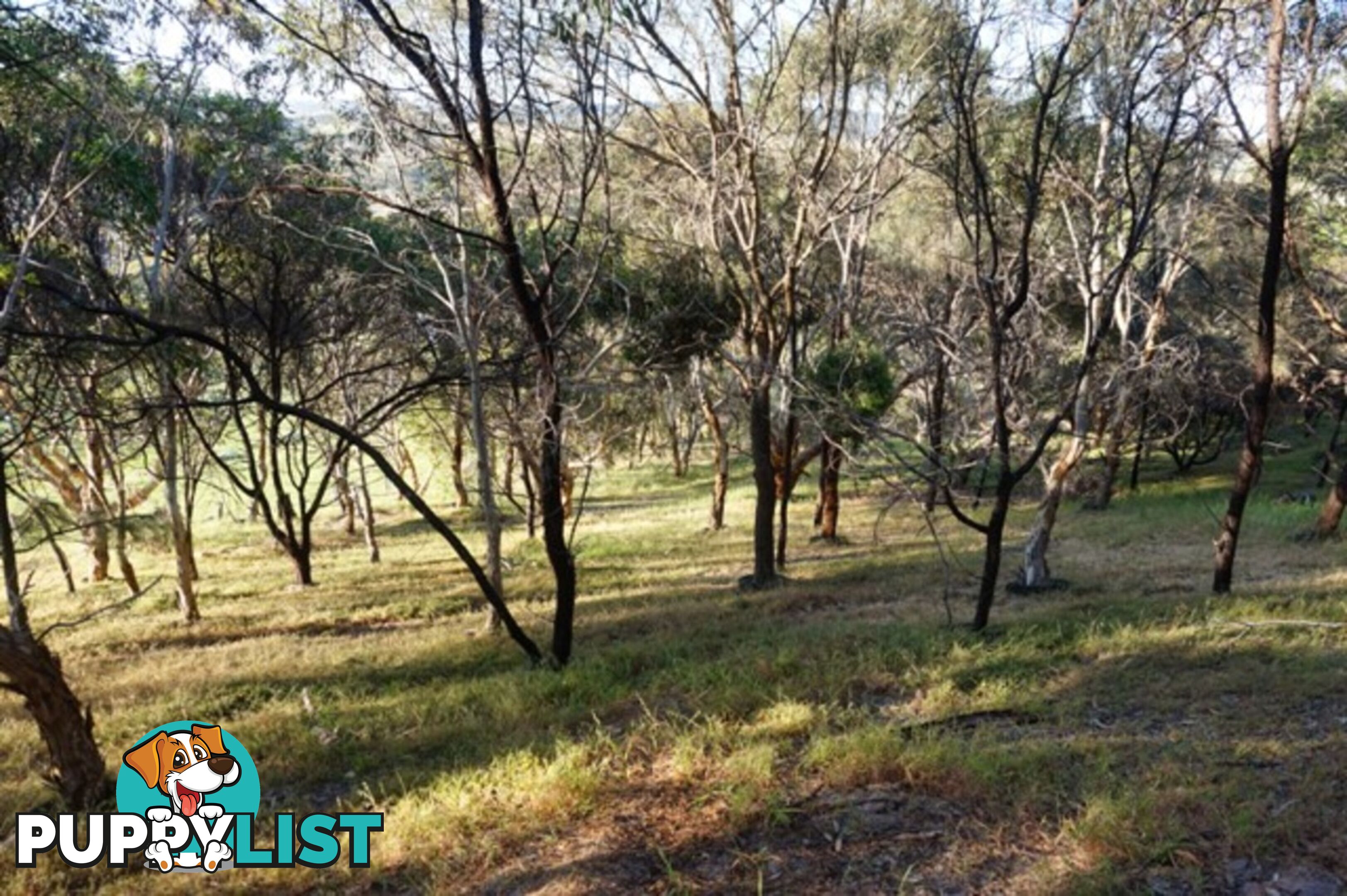 Lot 6 Jervois Road Yankalilla SA 5203