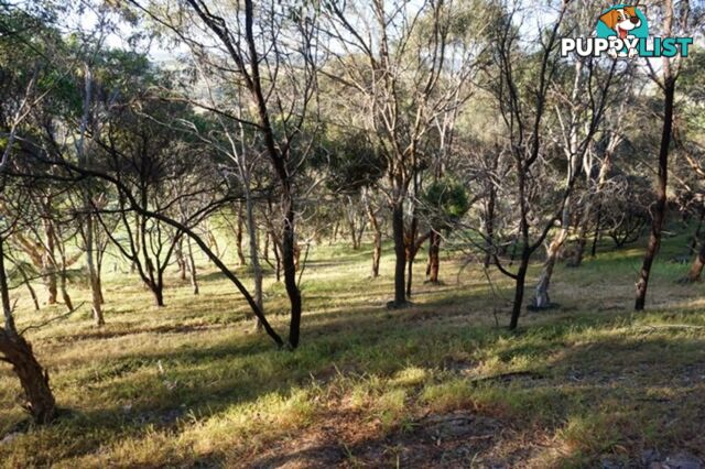 Lot 6 Jervois Road Yankalilla SA 5203