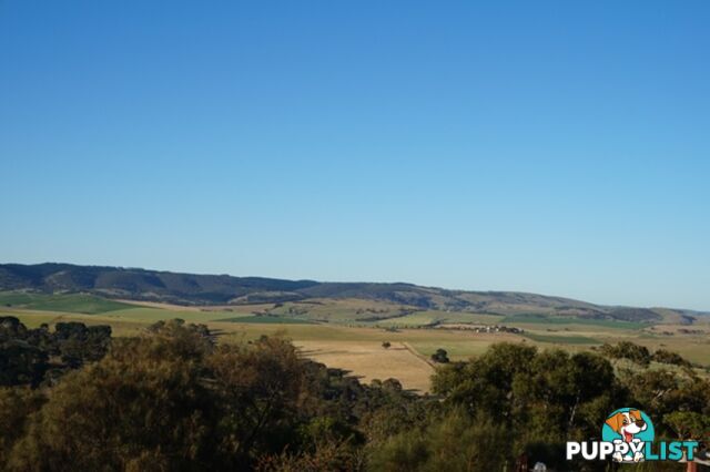 Lot 6 Jervois Road Yankalilla SA 5203