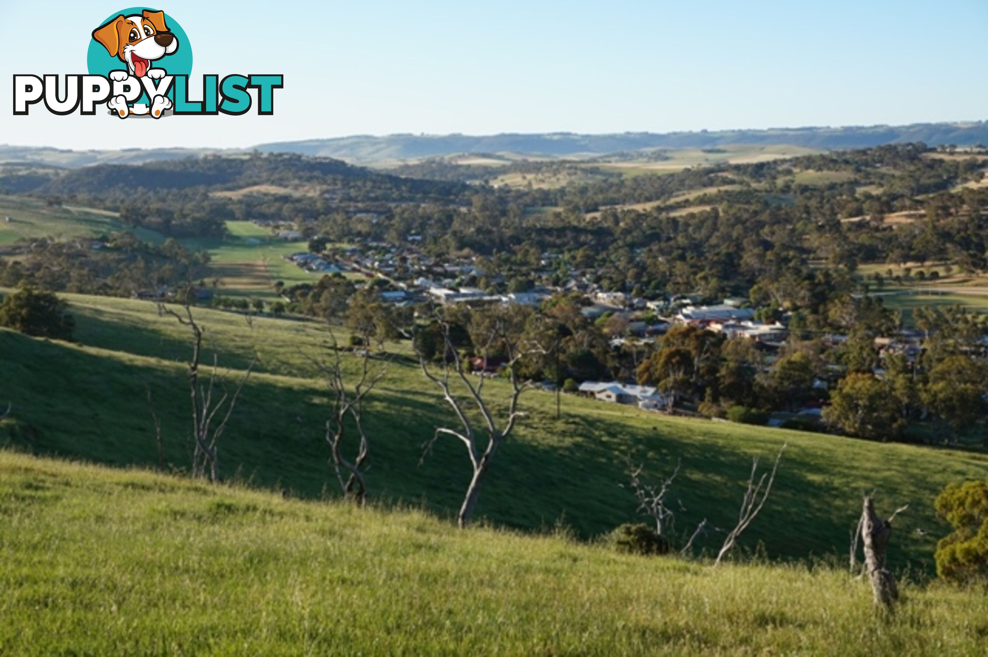 Lot 6 Jervois Road Yankalilla SA 5203