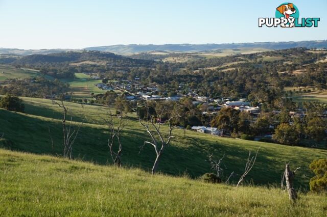 Lot 6 Jervois Road Yankalilla SA 5203