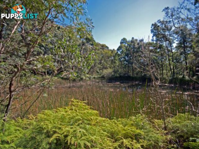 113 Yorky Water Road KULNURA NSW 2250