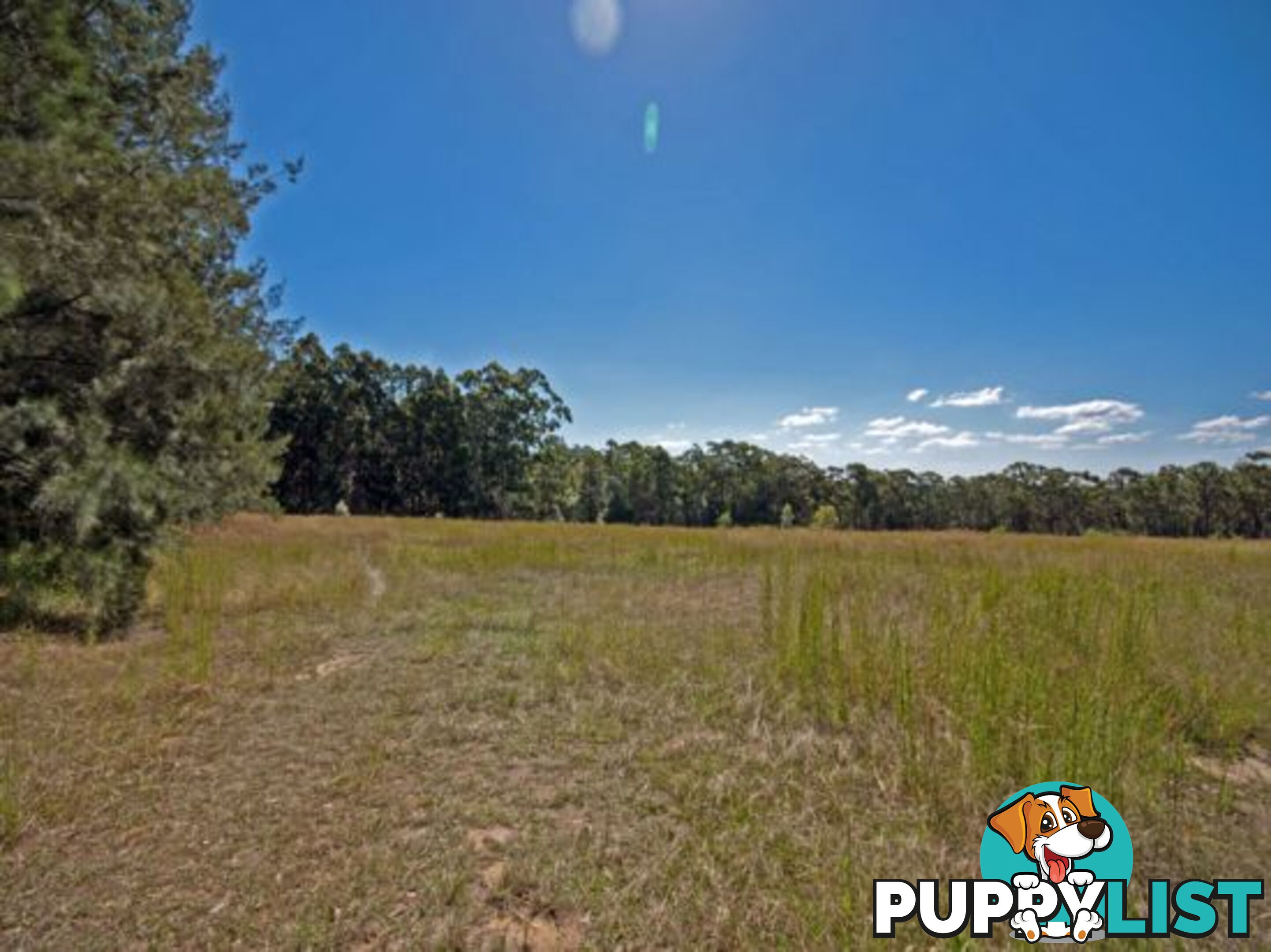 113 Yorky Water Road KULNURA NSW 2250