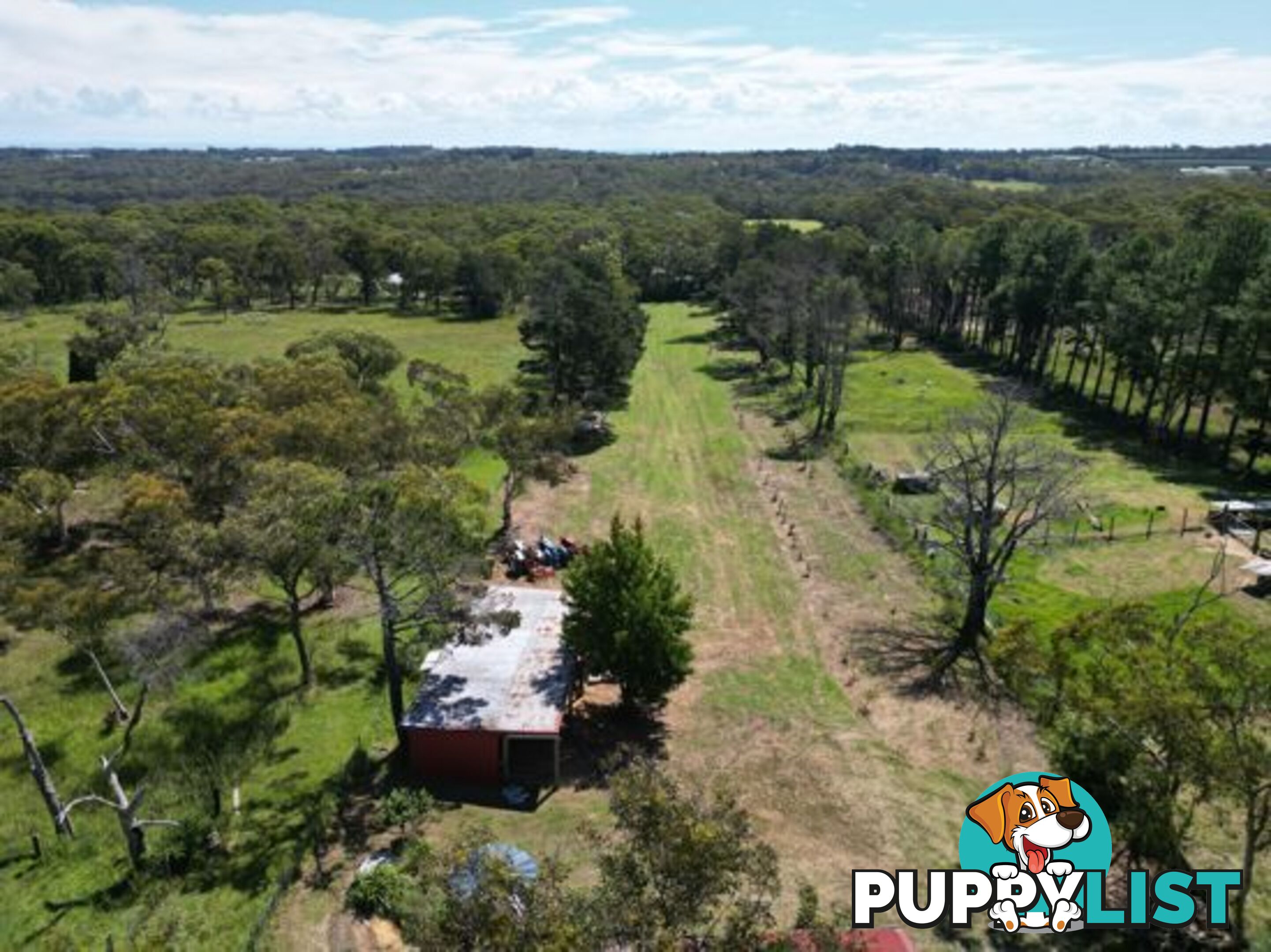 139 George Downes Drive CENTRAL MANGROVE NSW 2250