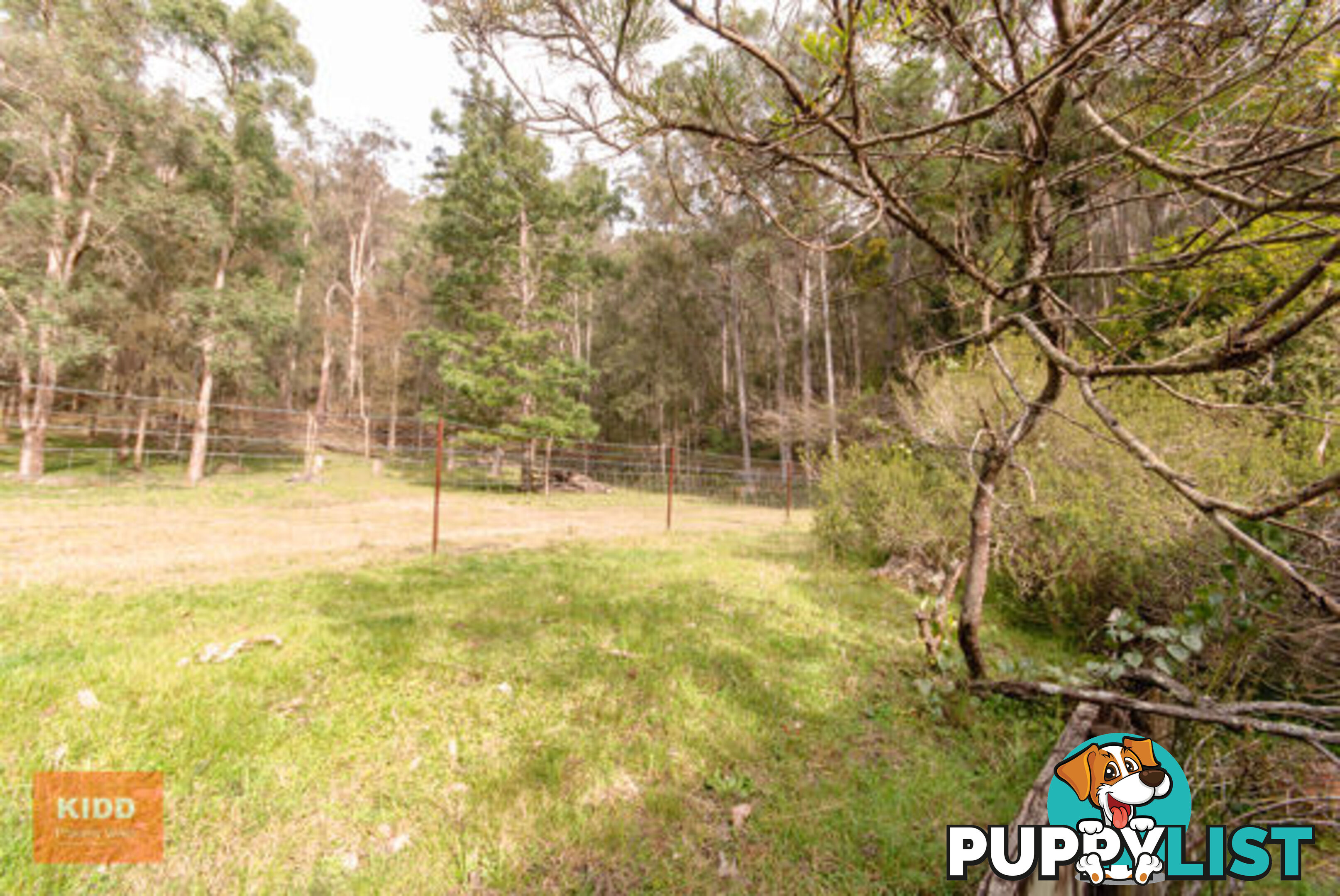 4751 Great North Road FERNANCES CROSSING NSW 2325