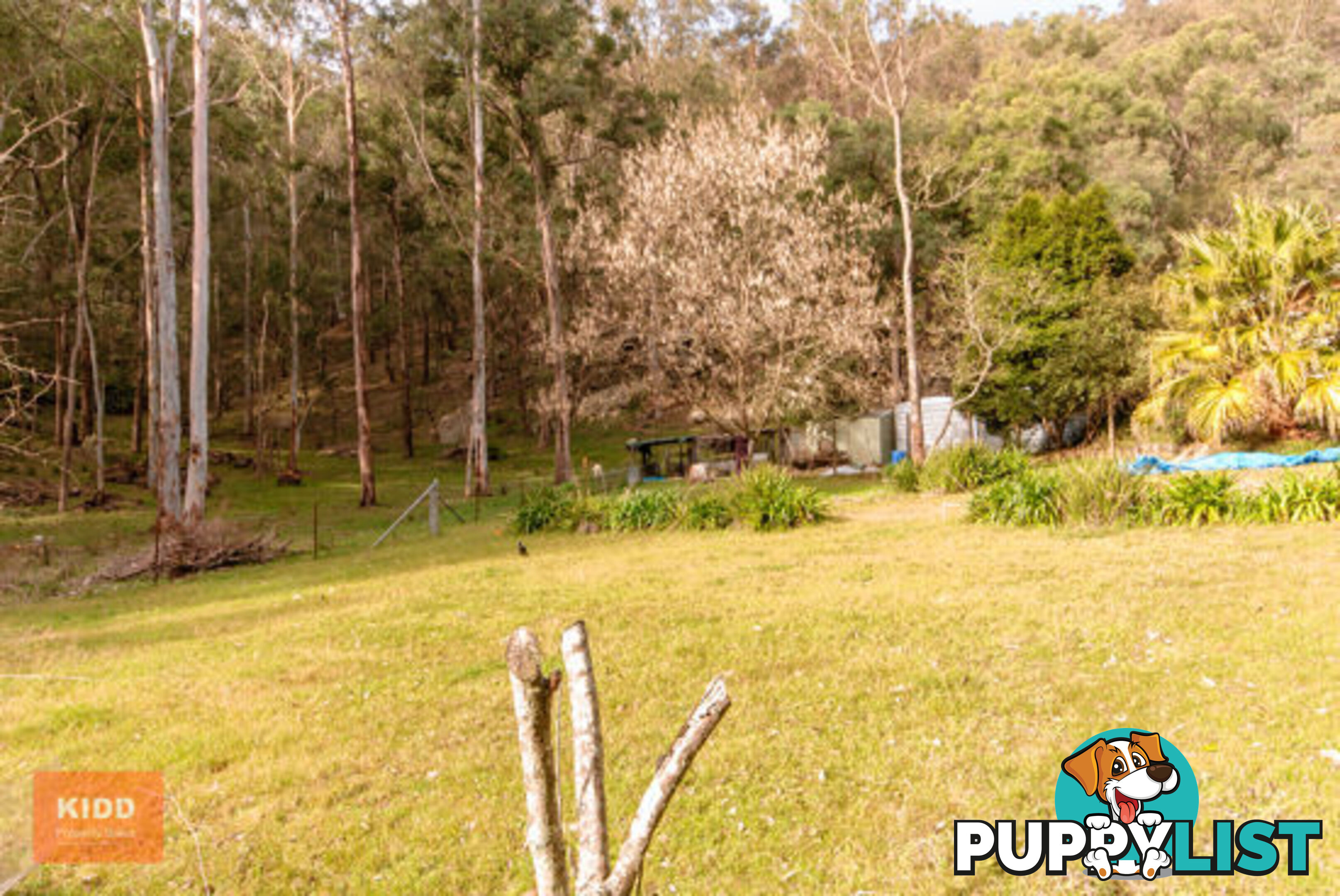 4751 Great North Road FERNANCES CROSSING NSW 2325