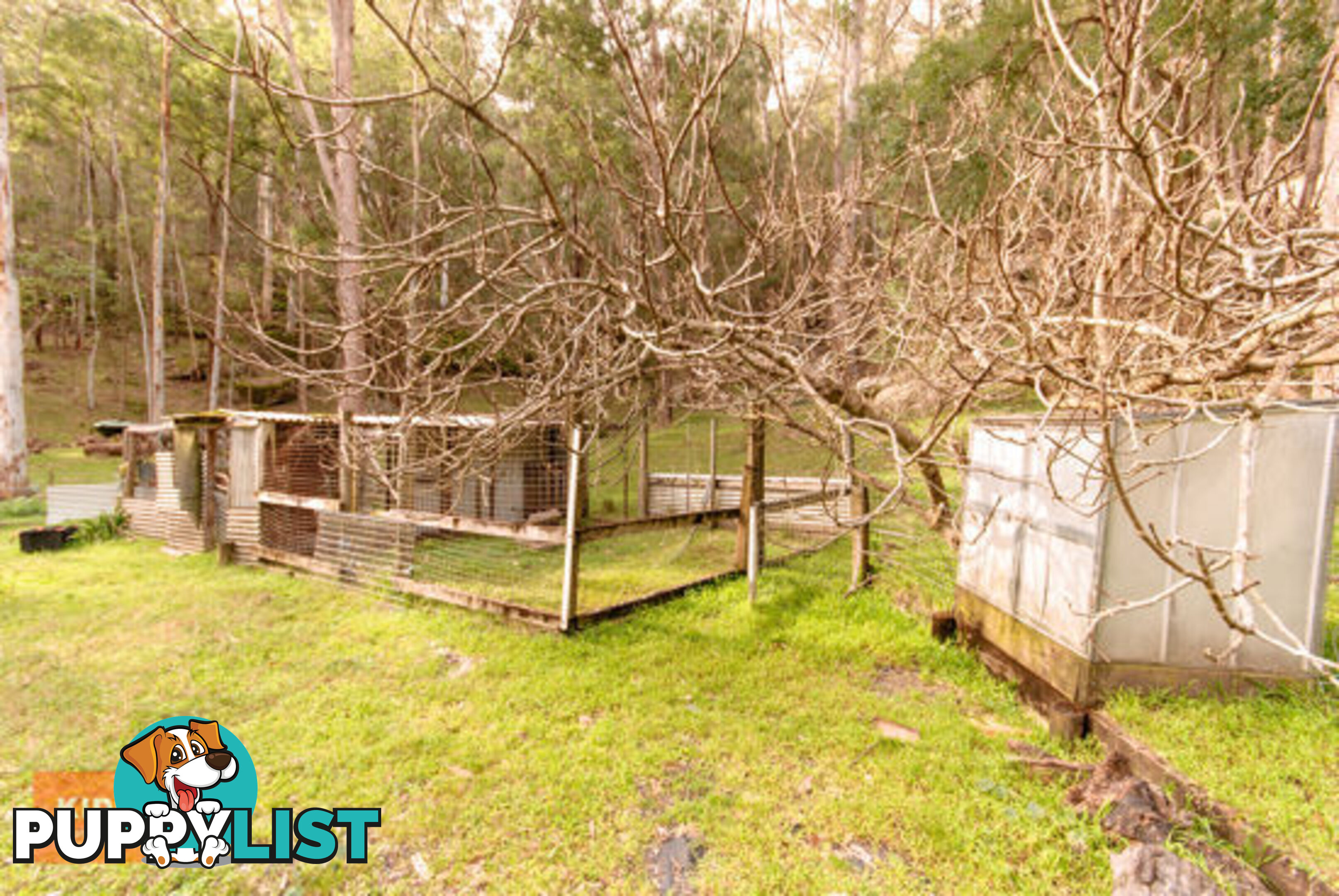 4751 Great North Road FERNANCES CROSSING NSW 2325