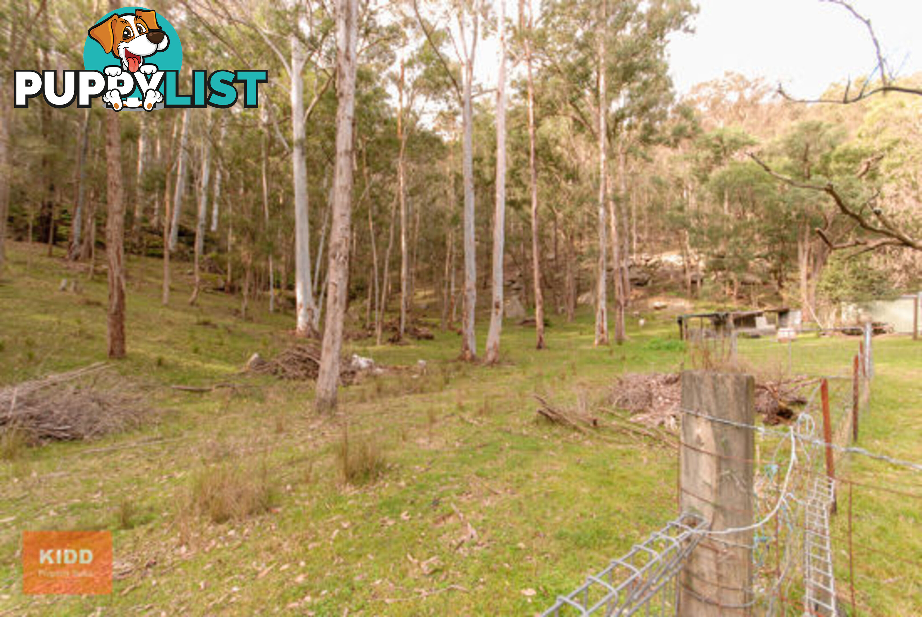 4751 Great North Road FERNANCES CROSSING NSW 2325