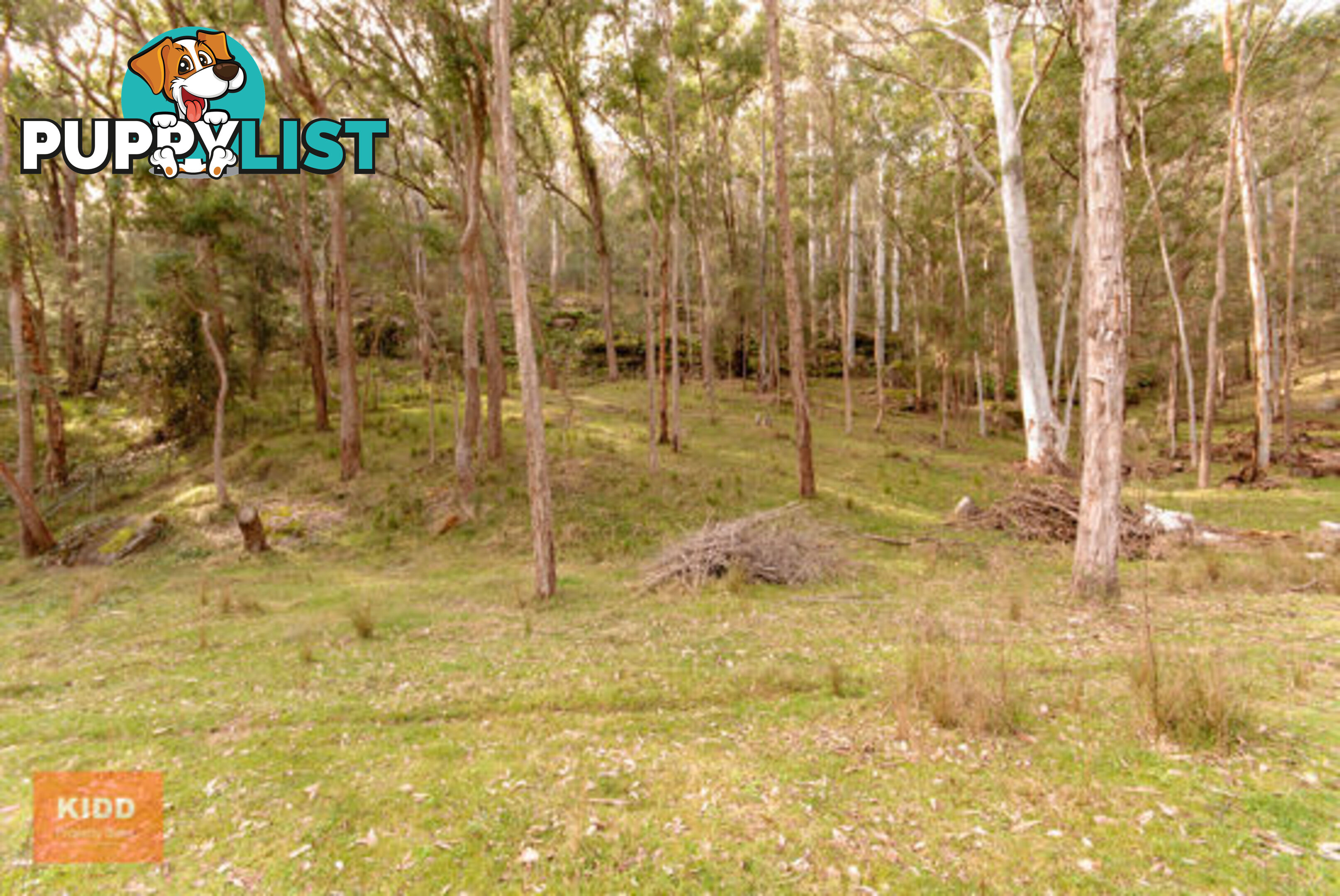 4751 Great North Road FERNANCES CROSSING NSW 2325