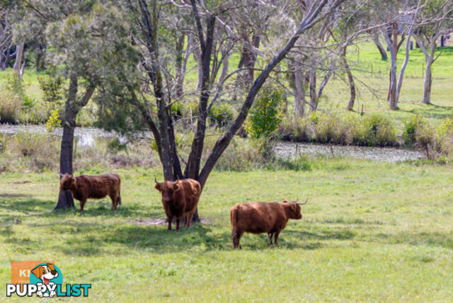 MOUNT WHITE NSW 2250