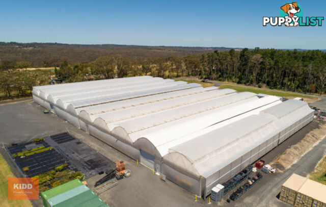PEATS RIDGE NSW 2250