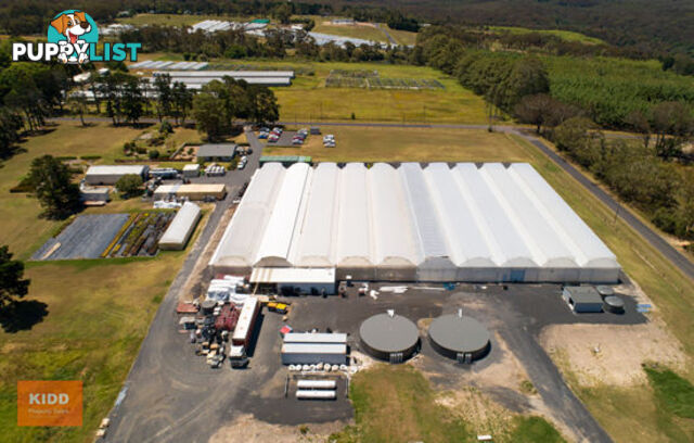PEATS RIDGE NSW 2250