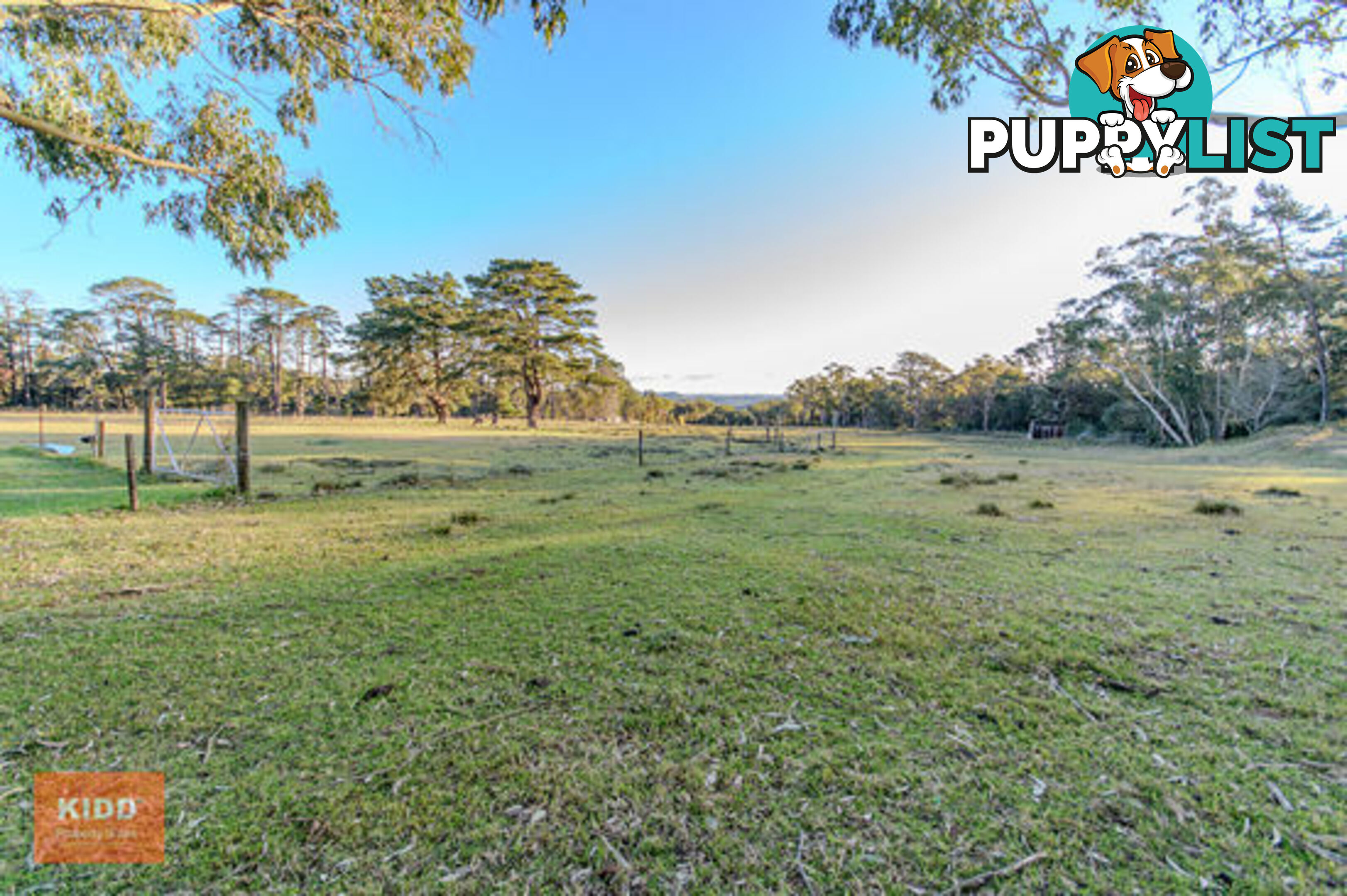 68 Maroney Road MANGROVE MOUNTAIN NSW 2250