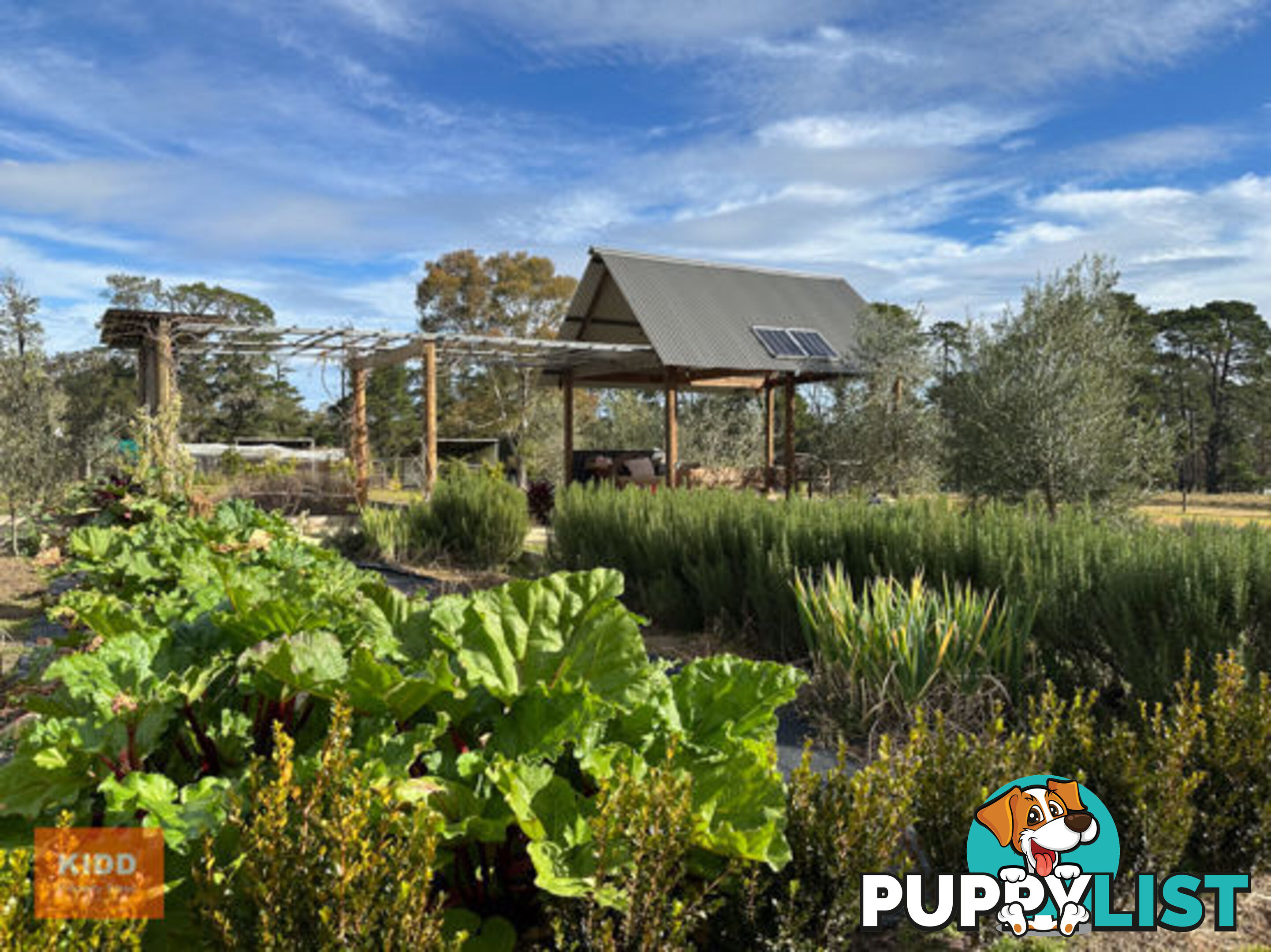 68 Maroney Road MANGROVE MOUNTAIN NSW 2250