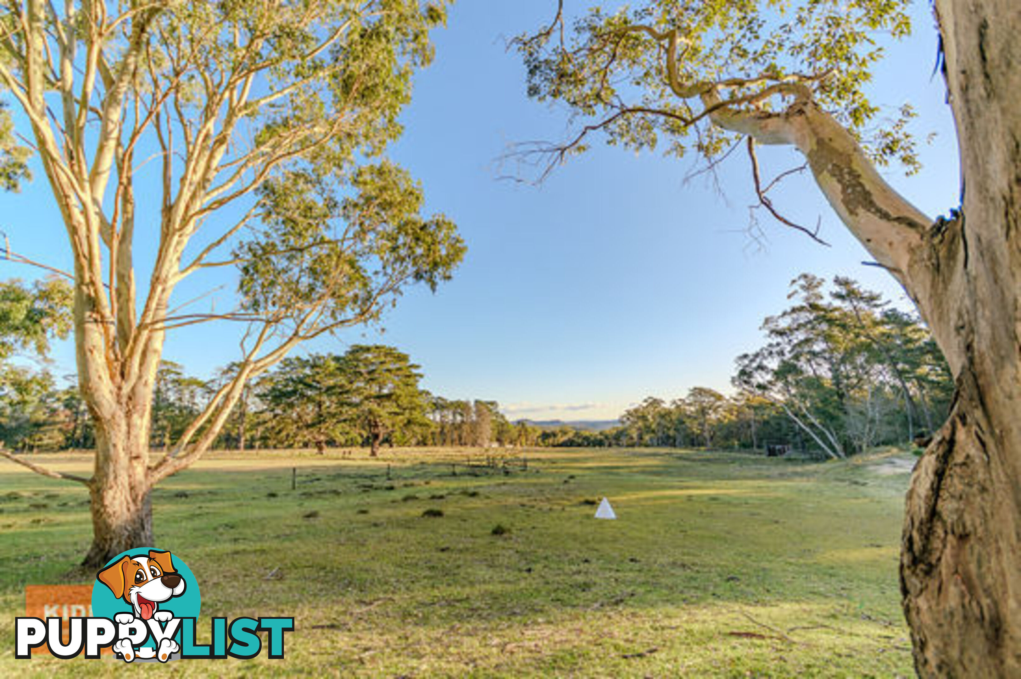 68 Maroney Road MANGROVE MOUNTAIN NSW 2250