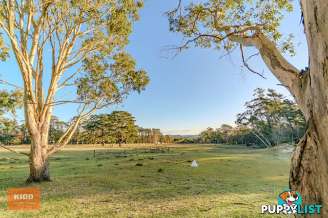 68 Maroney Road MANGROVE MOUNTAIN NSW 2250